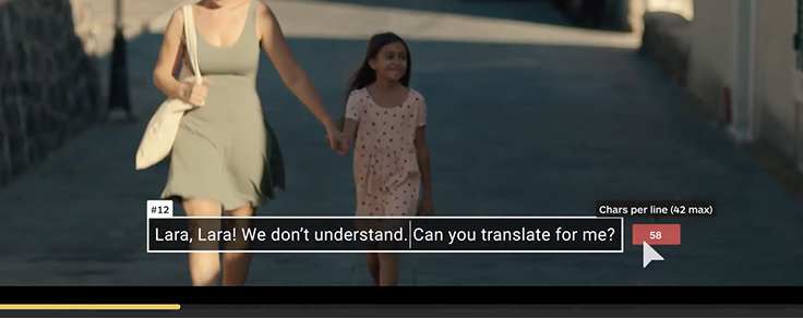 Subtitling Services